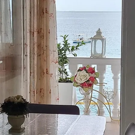 Mariakrisaf * 보르쉬