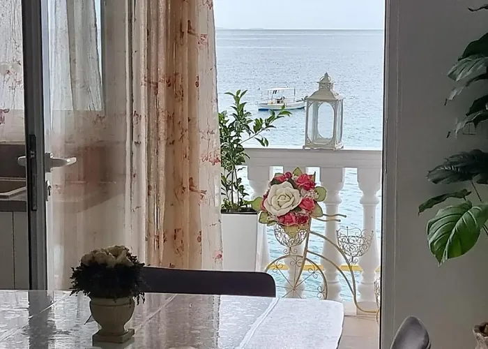 Mariakrisaf * 博尔什